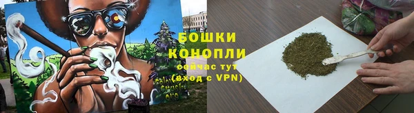 PSILOCYBIN Алзамай