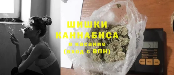 PSILOCYBIN Алзамай