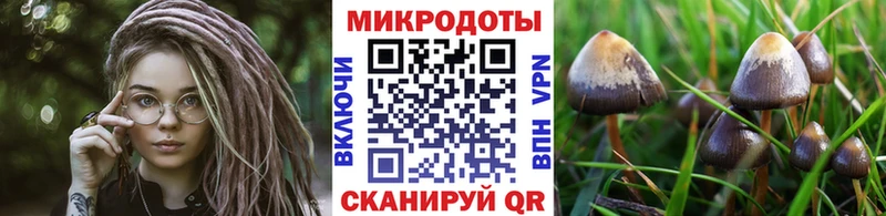 блэк спрут как зайти  Родники  Псилоцибиновые грибы ЛСД 