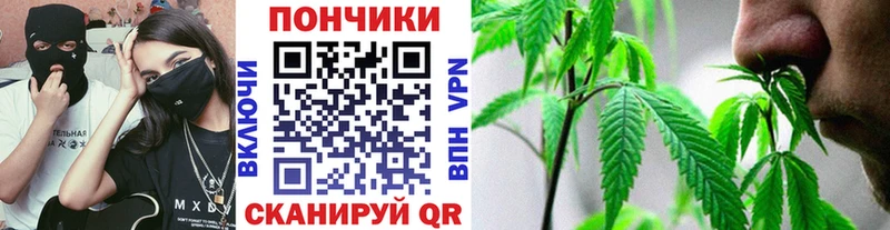 Конопля ГИДРОПОН Родники